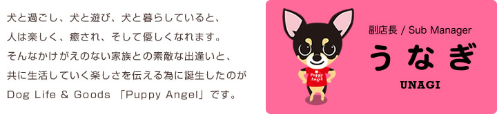 犬と過ごし、犬と遊び、犬と暮らしていると、人は楽しく、癒され、そして優しくなれます。そんなかけがえのない家族との素敵な出逢いと、共に生活していく楽しさを伝える為に誕生したのがDog Life & Goods 「Puppy Angel」です。