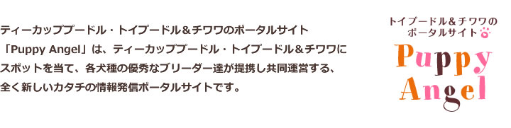 犬と過ごし、犬と遊び、犬と暮らしていると、人は楽しく、癒され、そして優しくなれます。そんなかけがえのない家族との素敵な出逢いと、共に生活していく楽しさを伝える為に誕生したのがDog Life & Goods 「Puppy Angel」です。