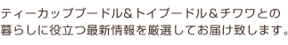 小さな天使 ティーカッププードルとチワワのポータルサイト「PUPPY ANGEL」