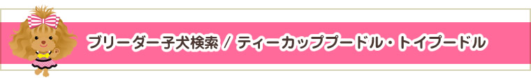 ブリーダー子犬検索 / ティーカッププードル・トイプードル