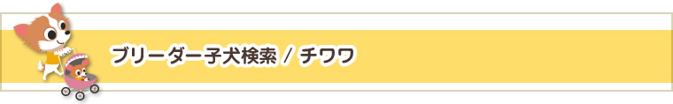 ブリーダー子犬検索 / チワワ